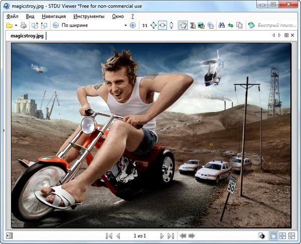 STDU Viewer 1.6.313 + Portable