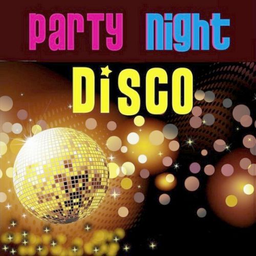 Disco Party Night (2013)