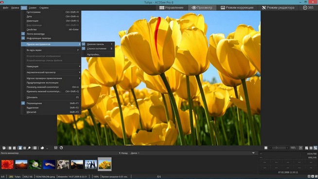ACDSee Pro 8.0 Build 262 Final + Rus