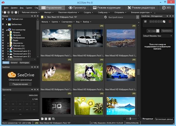 ACDSee Pro 8.0 Build 263 Final + Rus