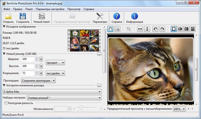 Benvista PhotoZoom Pro 6.0.4 + Portable