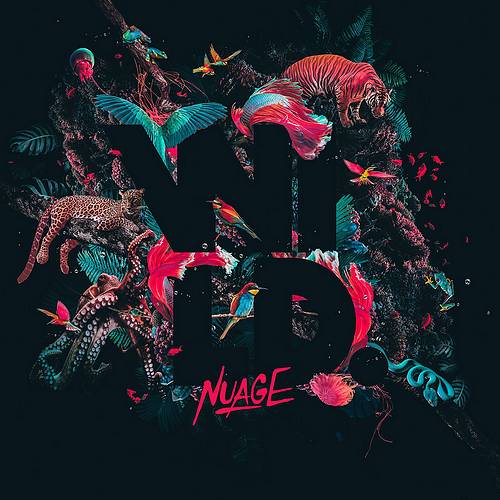 Nuage - WILD (2017)