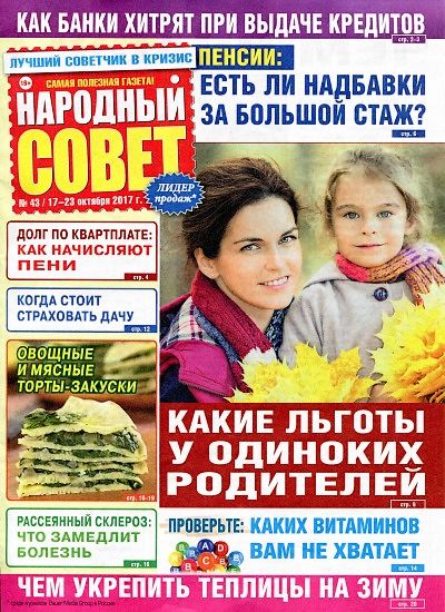 Народный совет №43 (октябрь 2017)