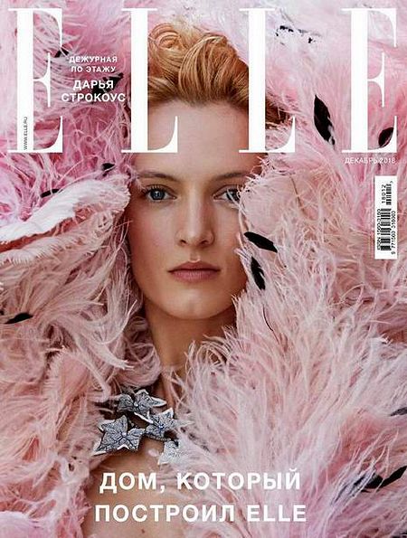 Elle №12 (декабрь 2018) Россия