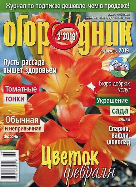 Огородник №2 (февраль 2019)