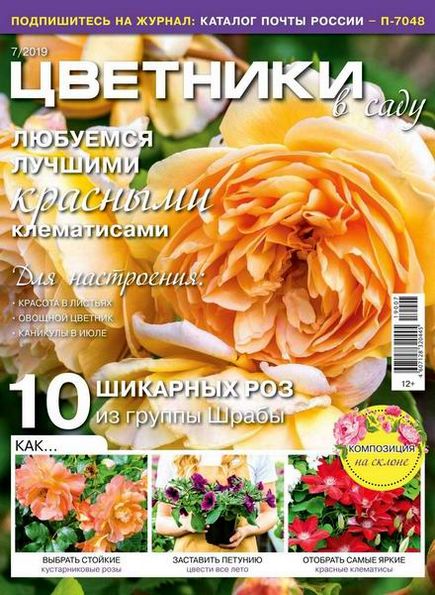 Цветники в саду №7 (июль 2019)