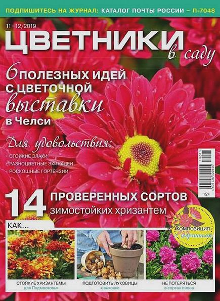 Цветники в саду №11-12 (ноябрь-декабрь 2019)