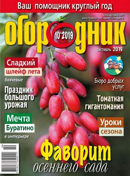 Огородник №10 (октябрь 2019)