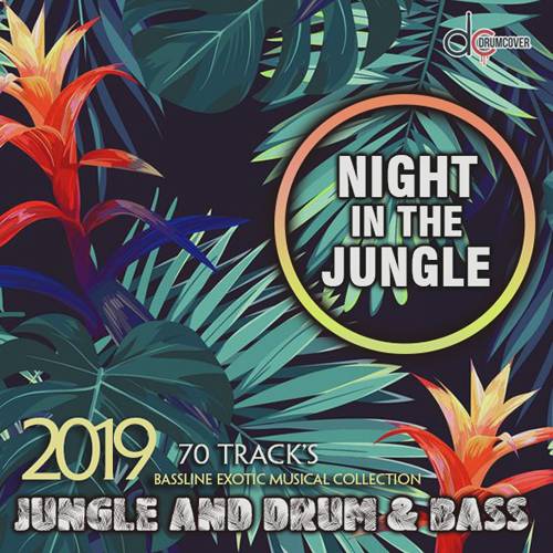 Night In The Jungle (2019)