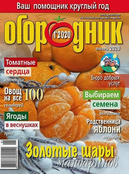 Огородник №1 (январь 2020)