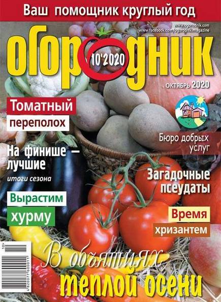 Огородник №10 (октябрь 2020)