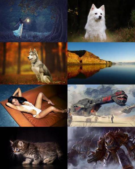 Wallpapers Mix №873