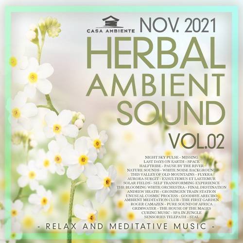 Herbal Ambient Sound Vol.02 (2021)