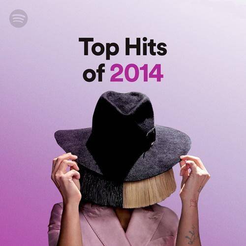 Top Hits of 2014 (2022)