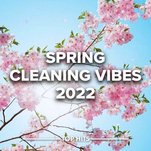 Spring Cleaning Vibes 2022 (2022)