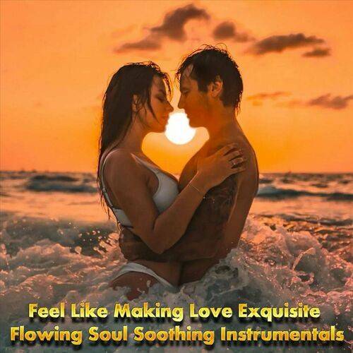 Feel Like Making Love Exquisite Flowing Soul Soothing Instrumentals (2022)