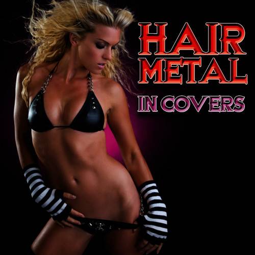 Hair Metal in Covers Vol. 1 (2CD Box Set) (2009)