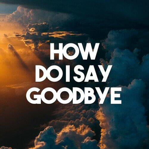 How Do I Say Goodbye (2022)