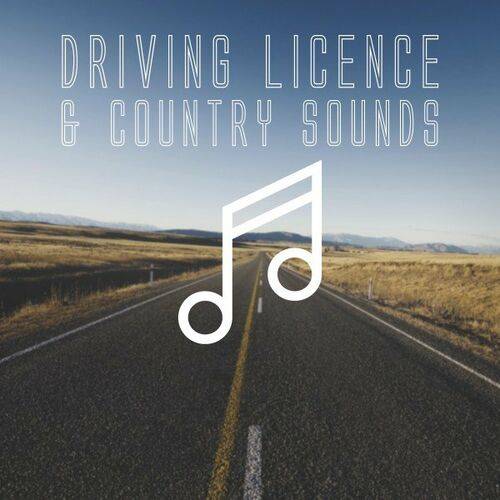 Driving Licence and Country Sounds (2022) FLAC