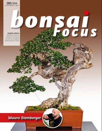 Bonsai Focus №2 (181) 2023