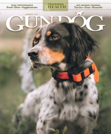 Gun Dog Vol.42 №3 Summer 2023