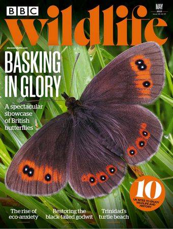 BBC Wildlife Vol.41 №6 2023