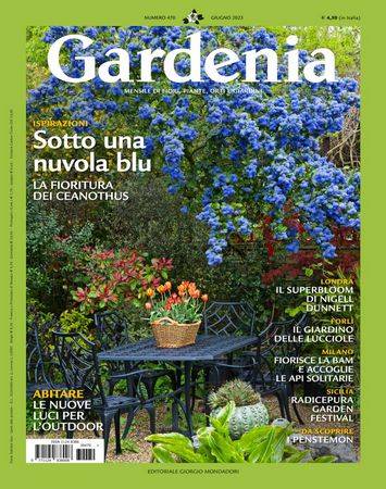 Gardenia №470 2023