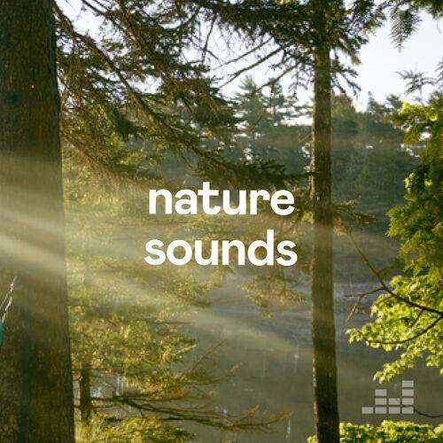 Nature Sounds (2023)