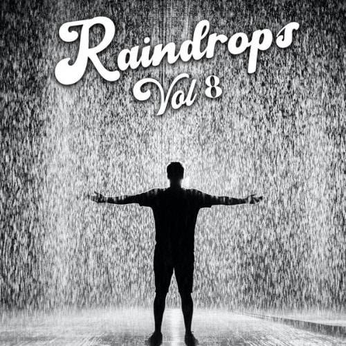 Raindrops Vol 8 (2023)