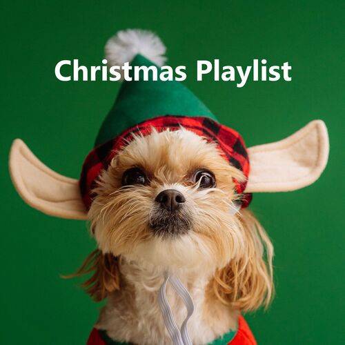 Christmas Playlist (2023)