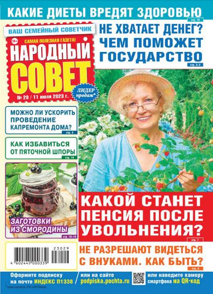 Народный совет №29 (июль 2023)