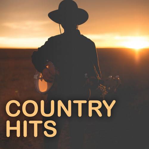 Country Hits (2023) FLAC