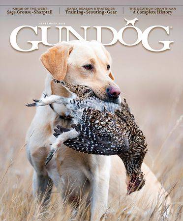 Gun Dog Vol.42 №4 2023