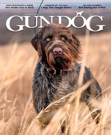 Gun Dog Vol.42 №5 2023