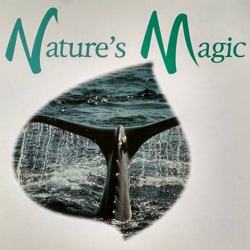 Natures Magic The Voyage of the Whale (1996) FLAC