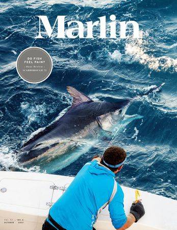 Marlin Vol.42 №6 2023