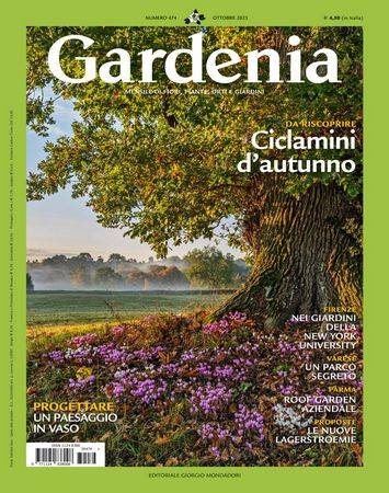 Gardenia №474 2023