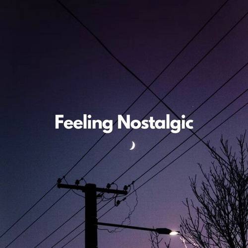 Feeling Nostalgic (2023) FLAC