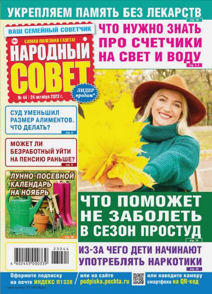 Народный совет №44 (октябрь 2023)