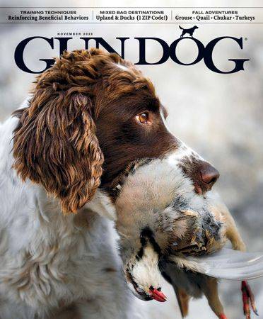 Gun Dog Vol.42 №6 2023