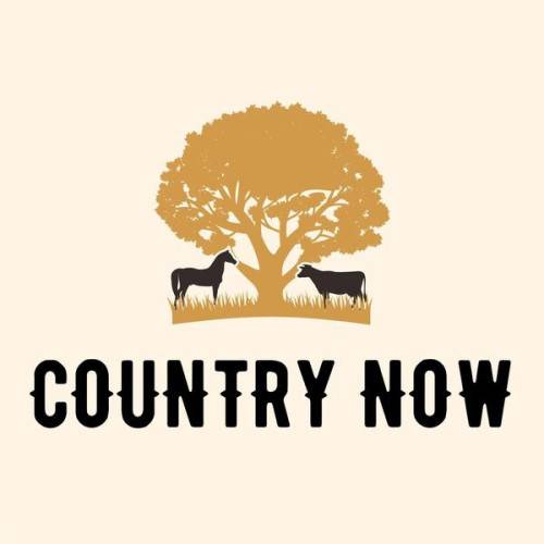 Country Now (2024)