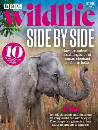 BBC Wildlife Vol.41 №11 2023