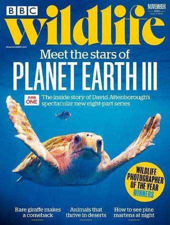 BBC Wildlife Vol.41 №12 2023