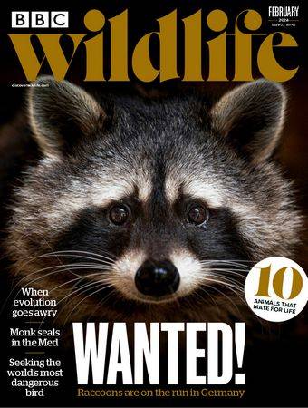 BBC Wildlife Vol.42 №2 2024