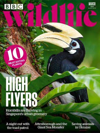 BBC Wildlife Vol.42 №3 2024