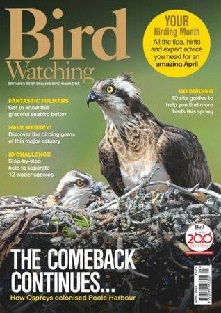 Bird Watching UK-April 2024