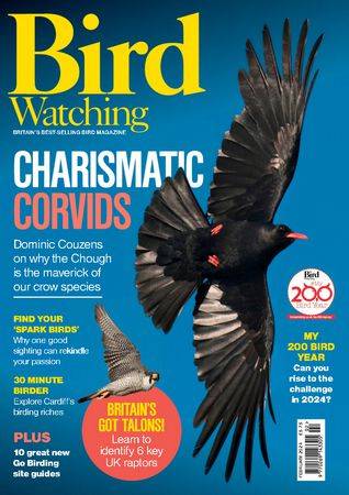 Bird Watching UK - February 2024