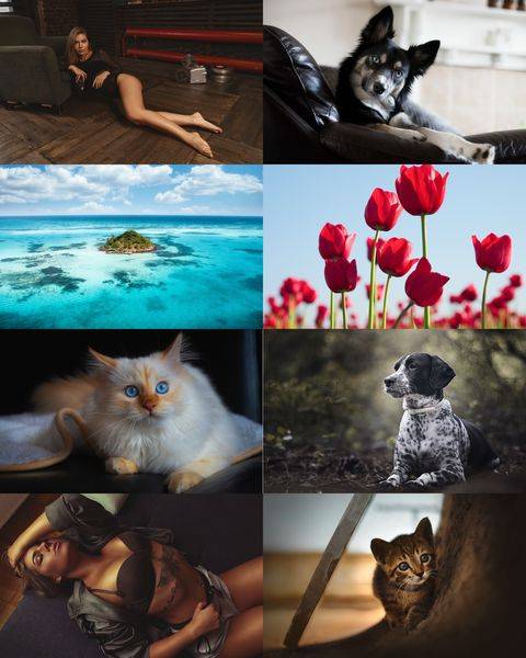 Wallpapers Mix №1143