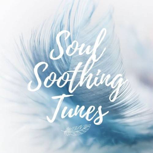 Soul Soothing Tunes (2024)