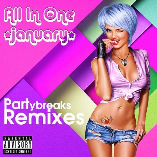 All In One Partybreaks and Remixes (January 2024 Part 2) (2024)